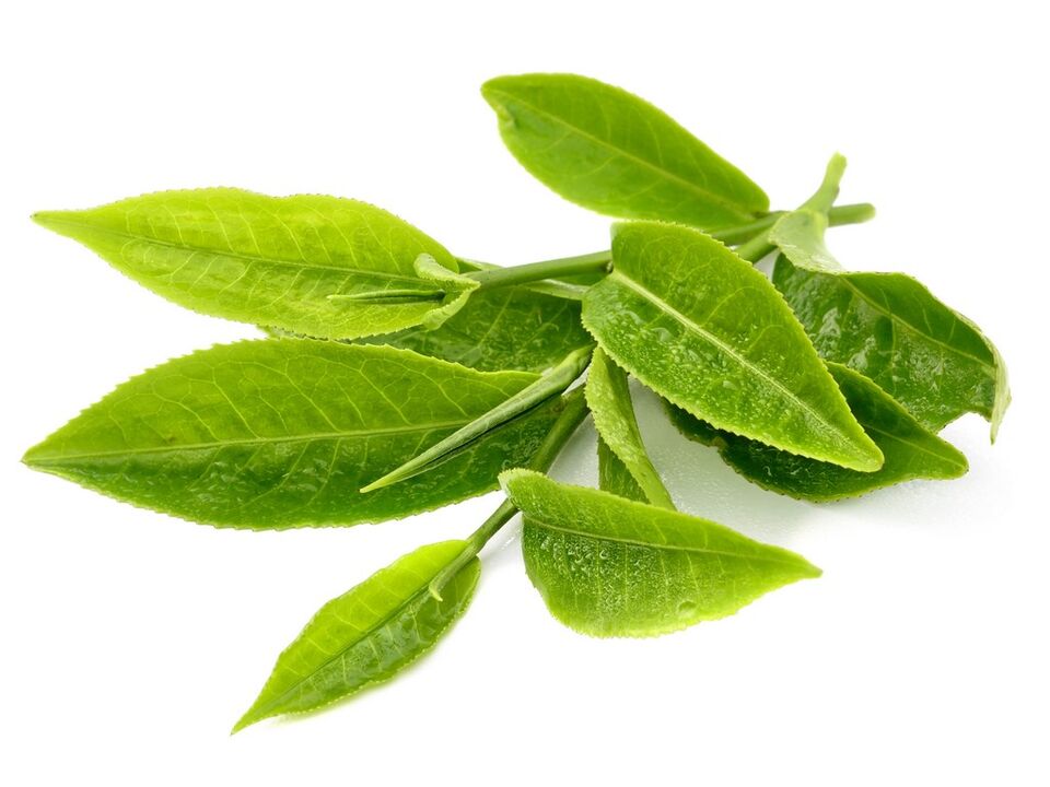 πράσινο τσάι σε Keto Matcha